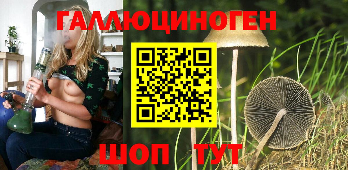 Мегион  Псилоцибиновые грибы прущие грибы  Вход с VPN 